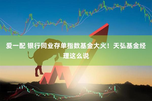 爱一配 银行同业存单指数基金大火！天弘基金经理这么说