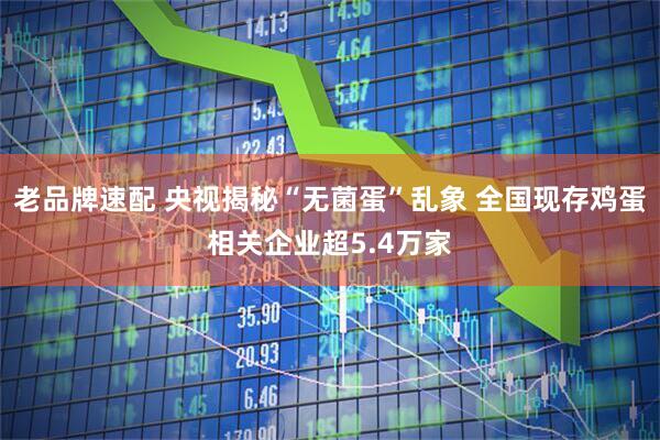 老品牌速配 央视揭秘“无菌蛋”乱象 全国现存鸡蛋相关企业超5.4万家