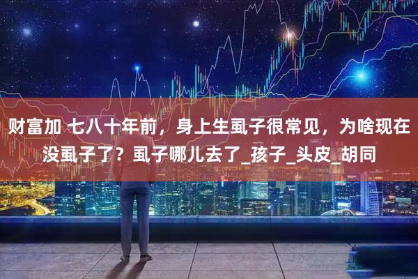 财富加 七八十年前，身上生虱子很常见，为啥现在没虱子了？虱子哪儿去了_孩子_头皮_胡同