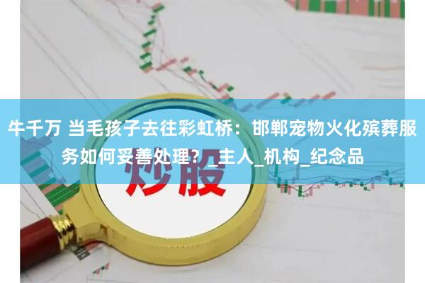 牛千万 当毛孩子去往彩虹桥：邯郸宠物火化殡葬服务如何妥善处理？_主人_机构_纪念品