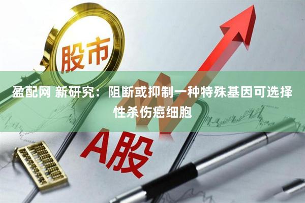 盈配网 新研究：阻断或抑制一种特殊基因可选择性杀伤癌细胞