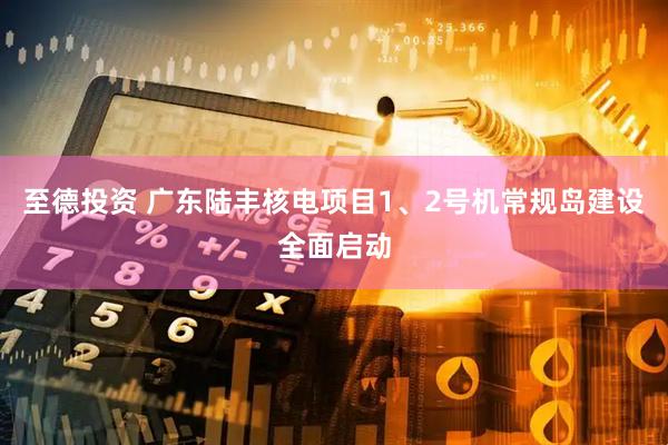 至德投资 广东陆丰核电项目1、2号机常规岛建设全面启动