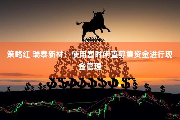 策略红 瑞泰新材：使用暂时闲置募集资金进行现金管理